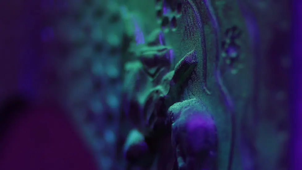 VR Prize 7