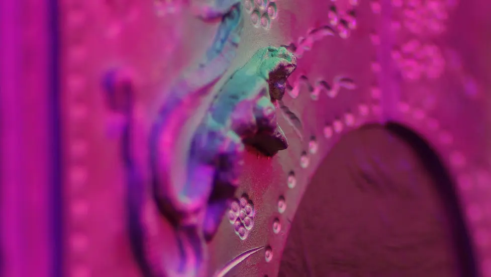 VR Prize 9